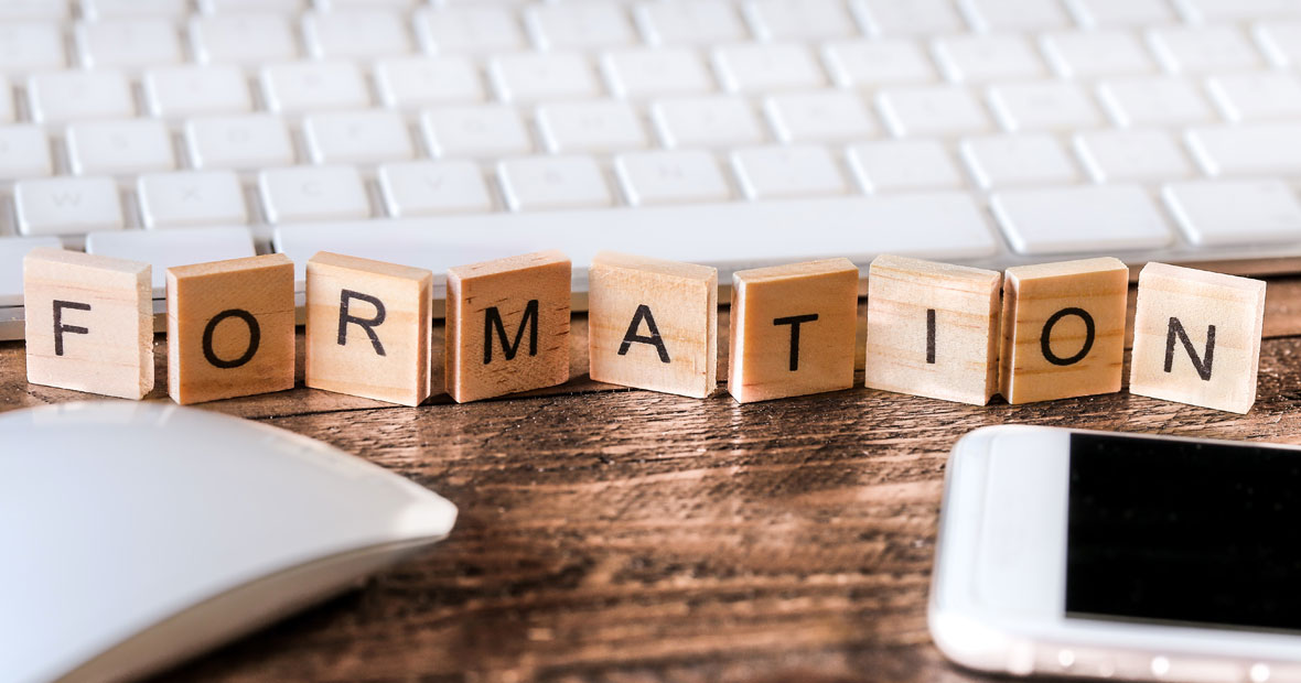 La formation professionnelle